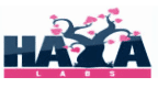 HAYA Labs