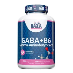 GABA + B-6 / 500mg. / 100 Vcaps