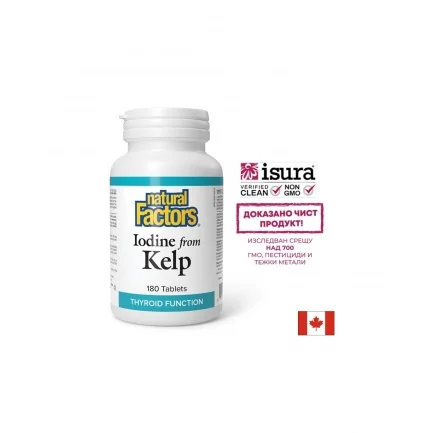 norvejki-kelp-za-shtitovidna-jleza-i-hormonalen-balans-180-tabletki-1.webp Норвежки келп – За щитовидна жлеза и хормонален баланс, 180 таблетки Natural Factors